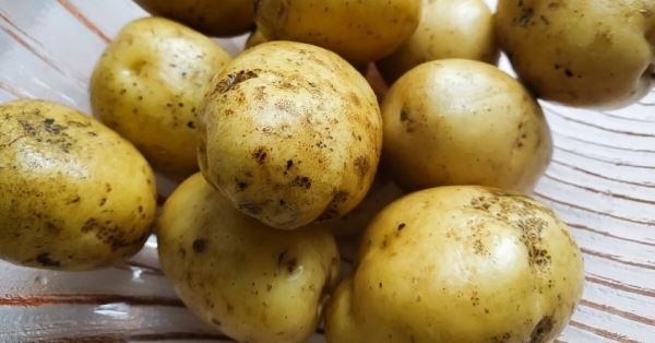 Быстрое пюре из картошки в мундире