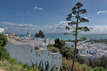 Тунис вернул одно из отменённых требований при въезде для туристов 